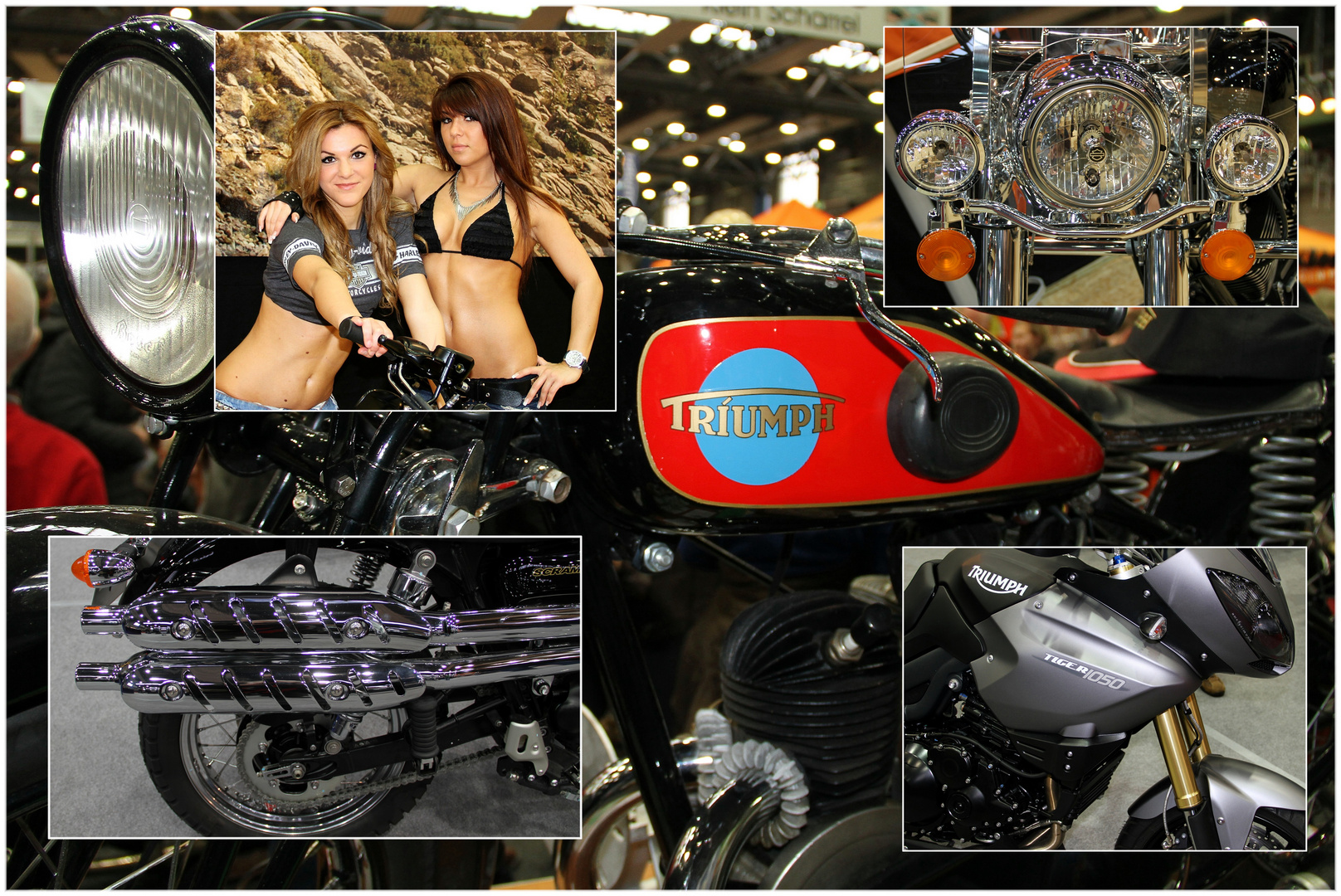Motorrad Show 2013