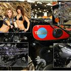 Motorrad Show 2013