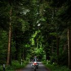 Motorradfahrer im Wald