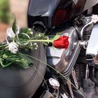 Motorradhochzeit