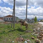 Motorradreise durch Albanien