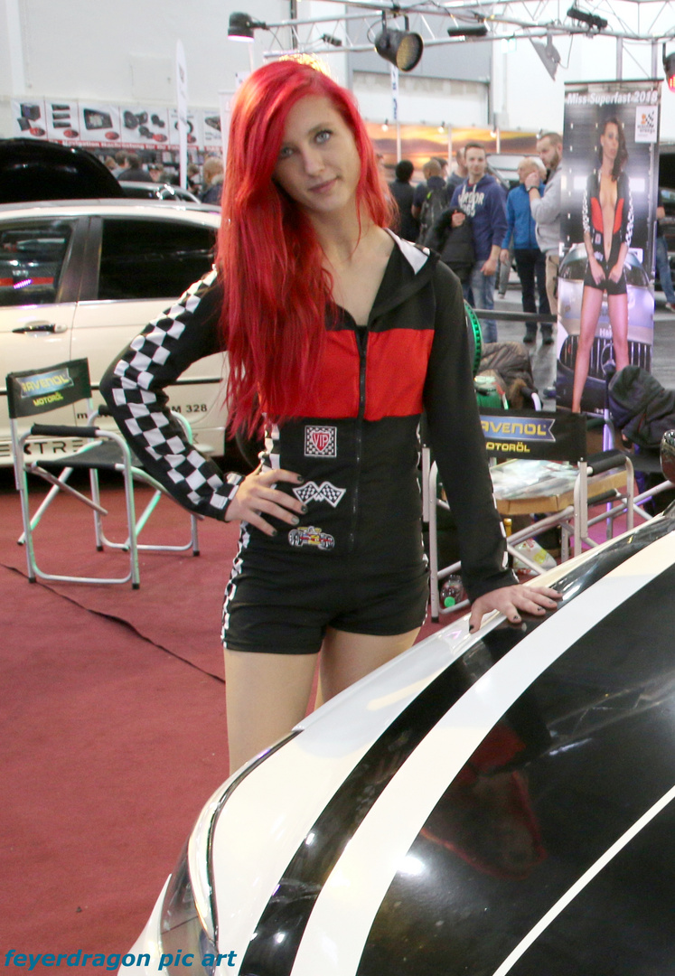 motorshow model