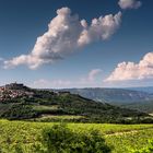 Motovun