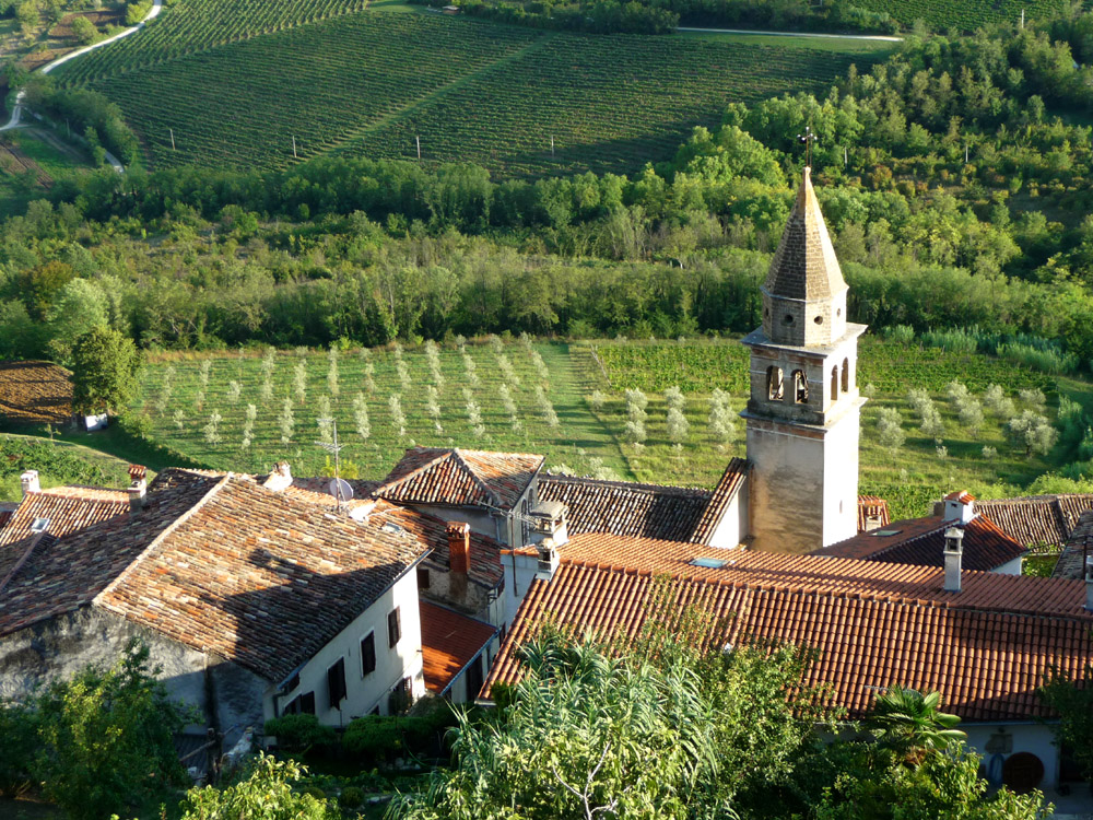 Motovun 2