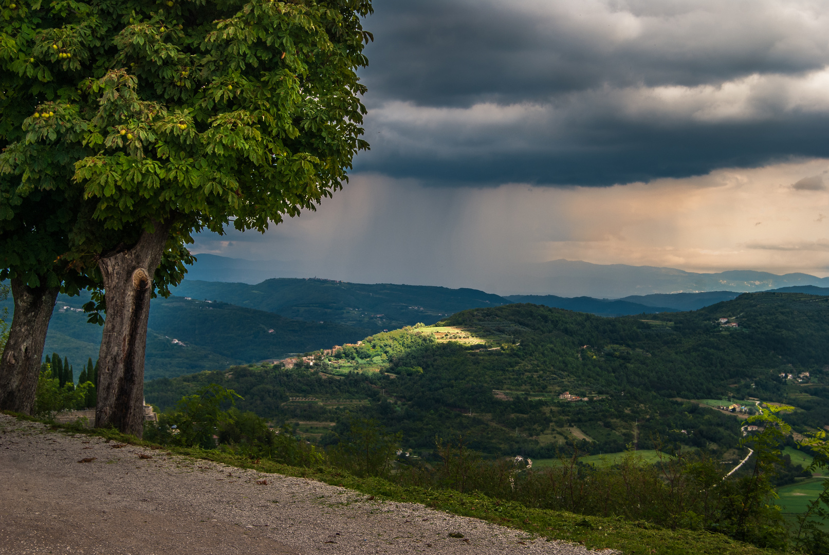 Motovun