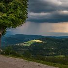 Motovun