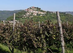 Motovun