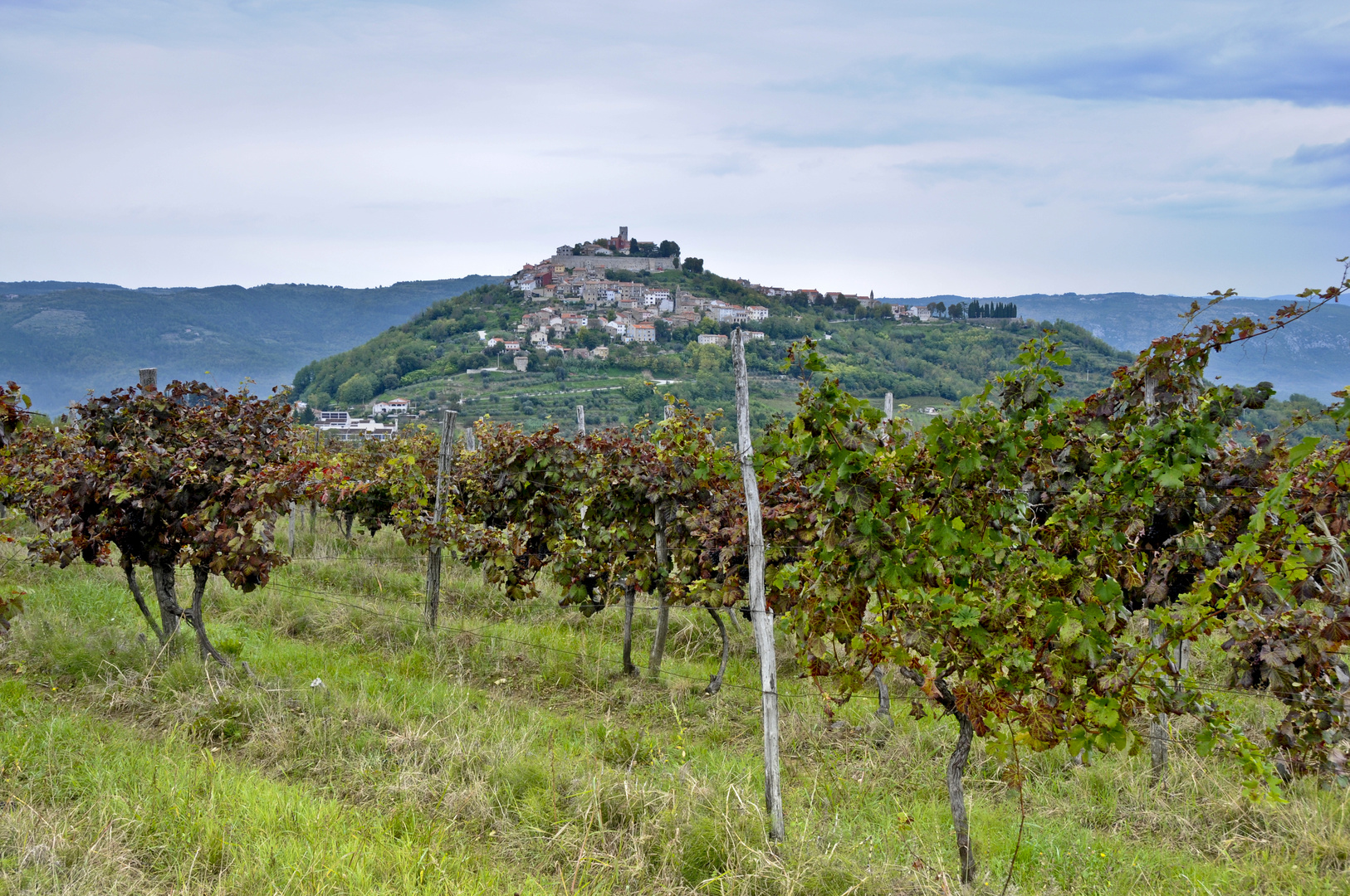 Motovun