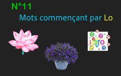 Mots commençant par Lo