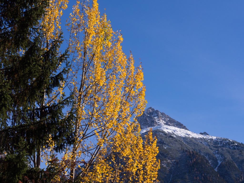 Motta Naluns ob Scuol/Schweiz