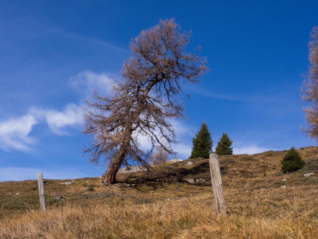 Motta Naluns ob Scuol/Schweiz