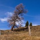 Motta Naluns ob Scuol/Schweiz