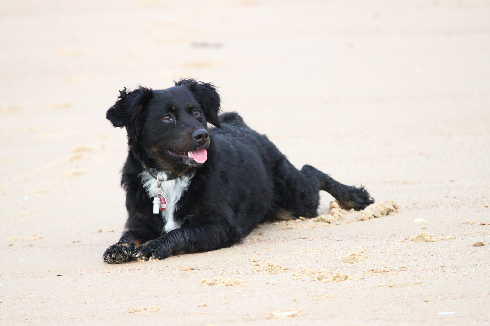 "Motte"macht Strandurlaub