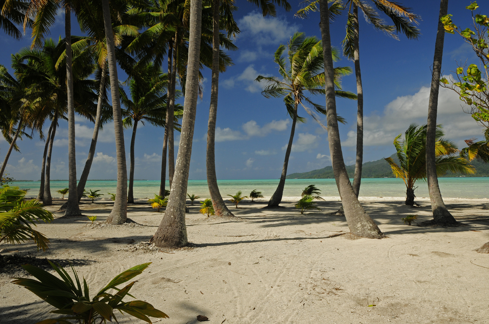 Motu TehutuTahaa