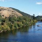 Motueka River Valley I