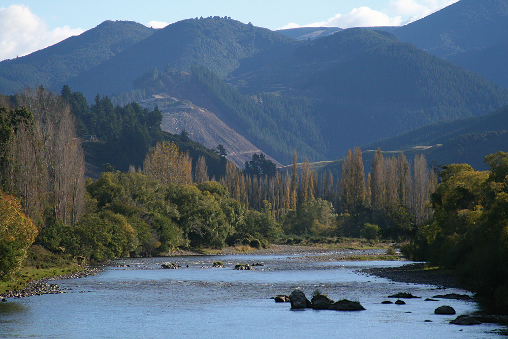 Motueka River Valley II