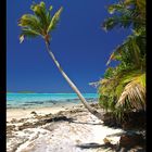 Moturakau Island - Aitutaki Atoll - Cook Islands 2011