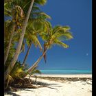 Moturakau Island - Aitutaki Atoll - Cook Islands 2011