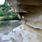 Motutapu Island