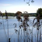 Motzener See - Kallinchen - Brandenburg