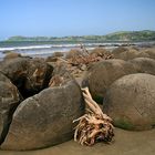 Moueraki Boulders .