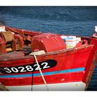 "mouette and sea"