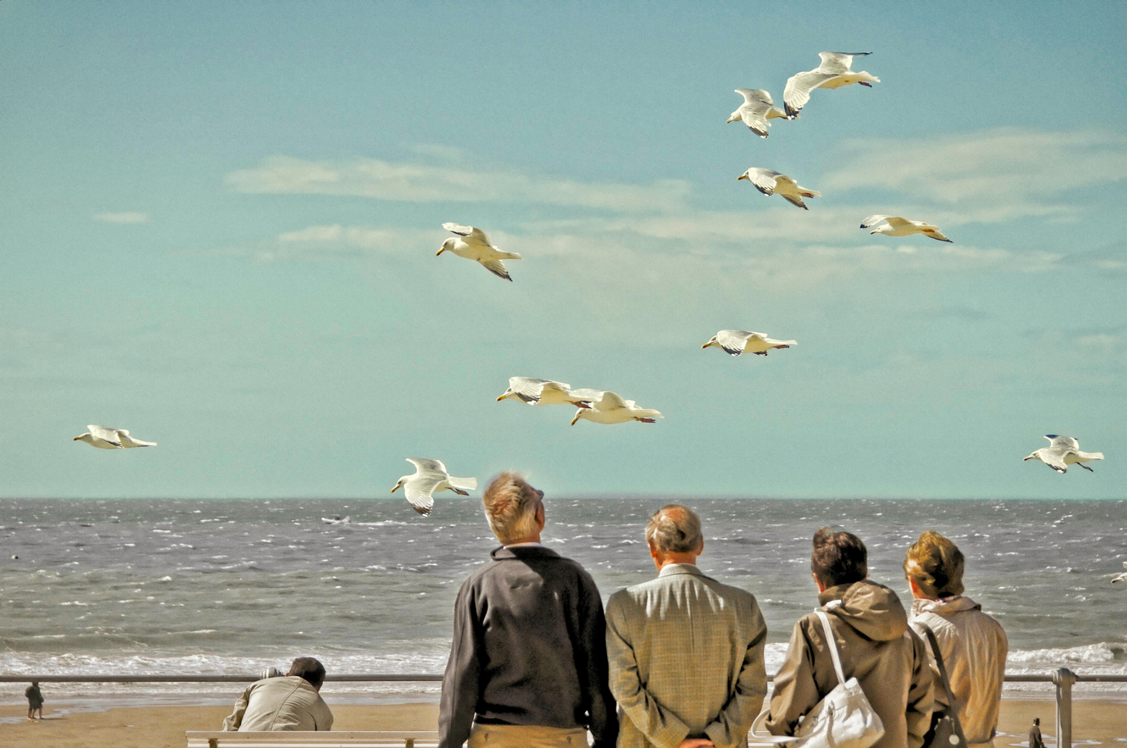 Mouettes en vol géostationnaire au-dessus de la plage d’Ostende (Belgique)