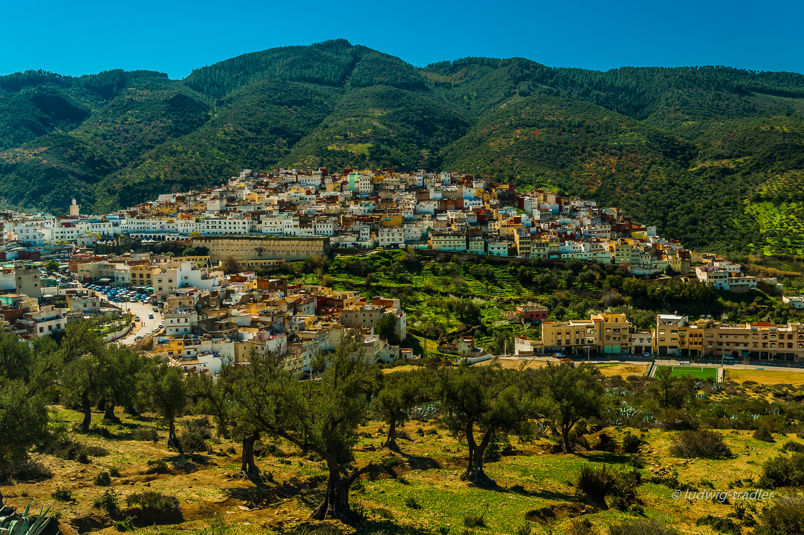 Moulay Idriss die heilige Stadt