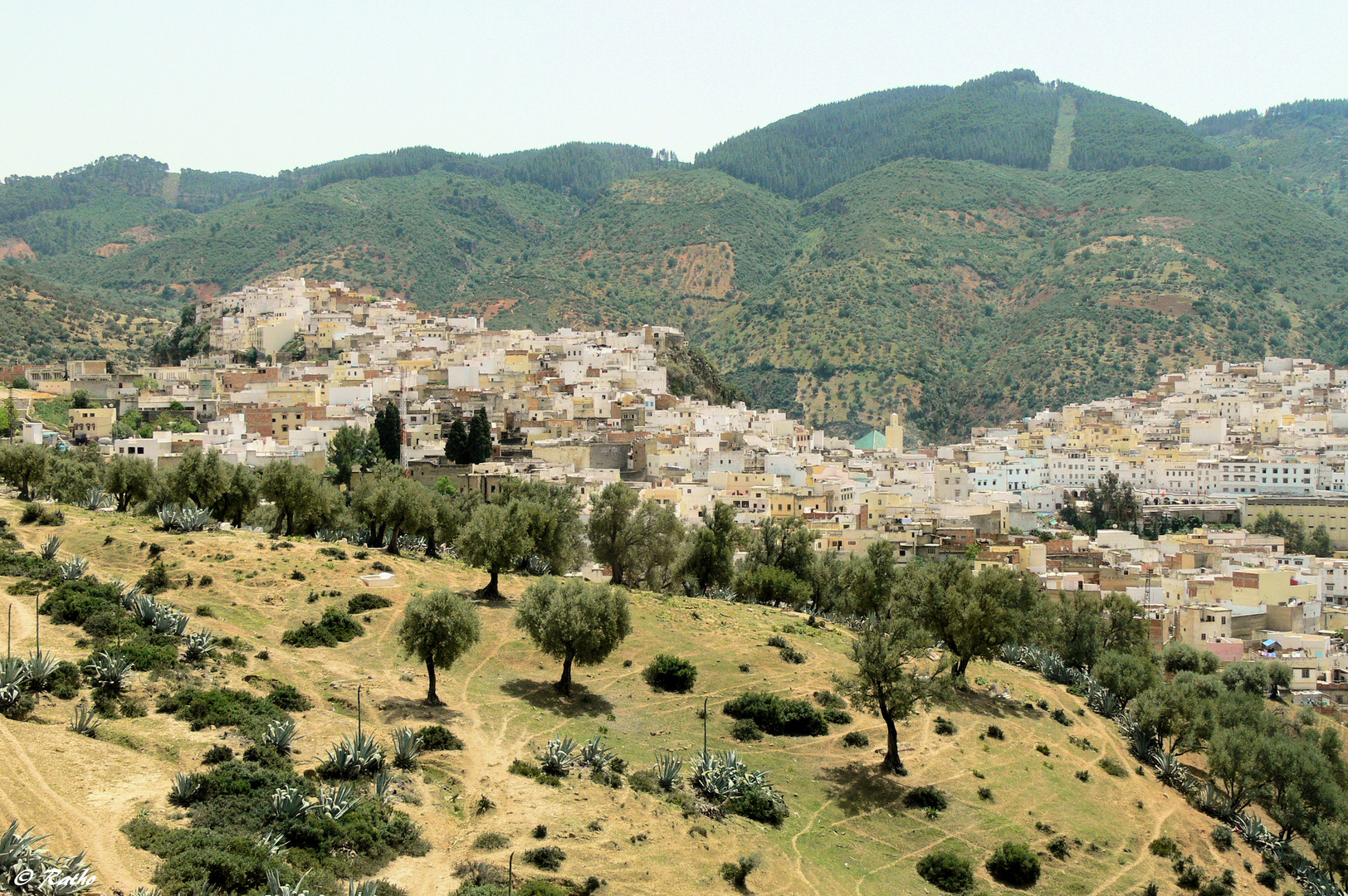 Moulay Idriss – „Heilige Stadt“ in Marokko