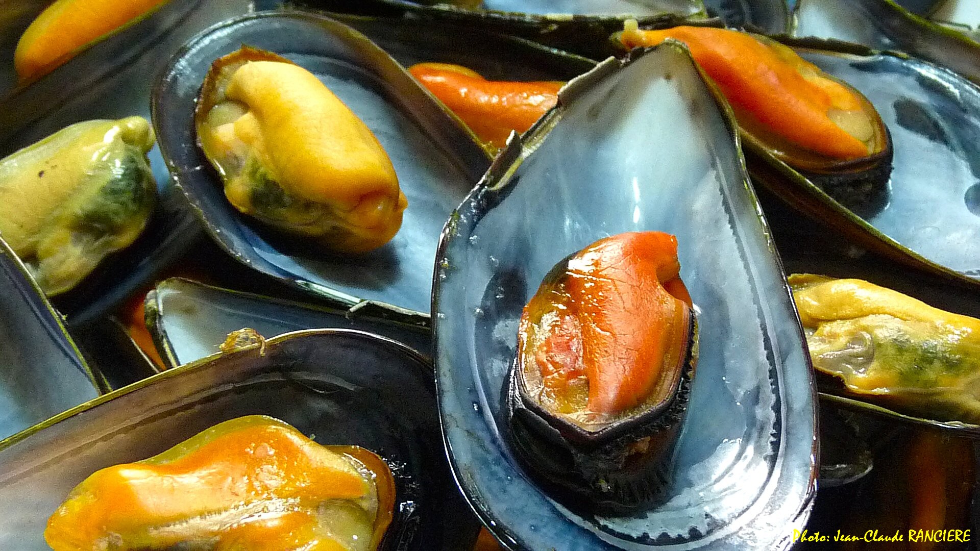 Moules