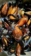 Moules à la marinières