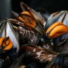 Moules... frisch vom bretonischen Fischer