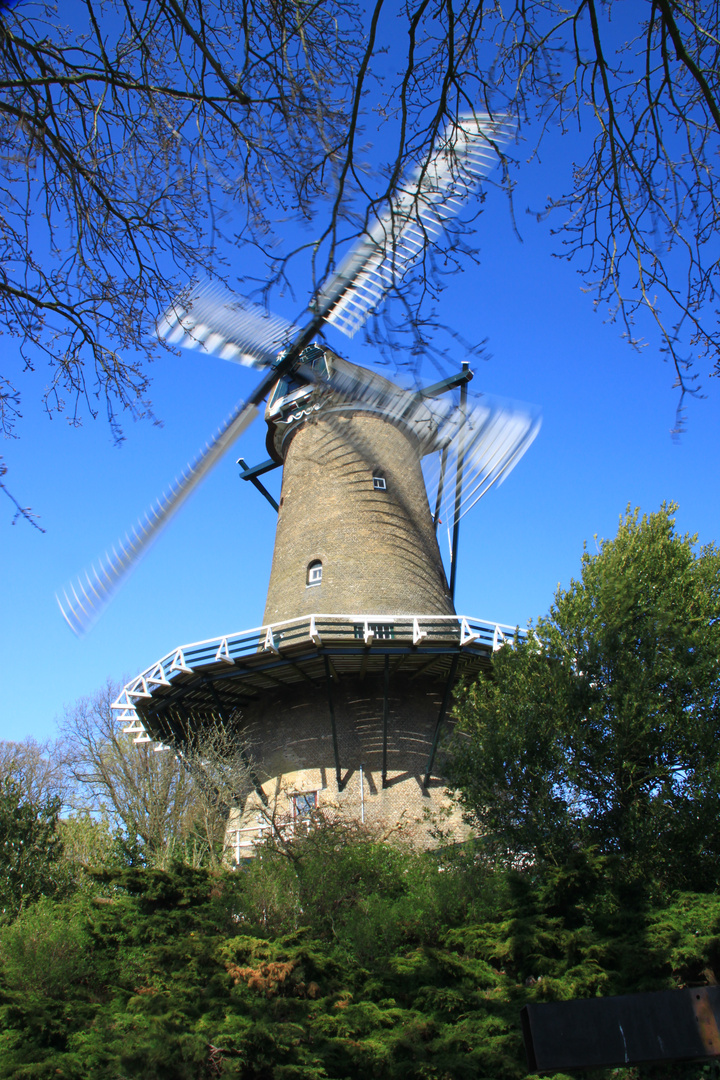 Moulin à Alkmaar