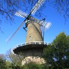 Moulin à Alkmaar