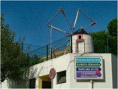 Moulin... à l`école! Mulino ..alla scuola!!!