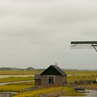  Moulin à TEXEL (Pays-Bas) 