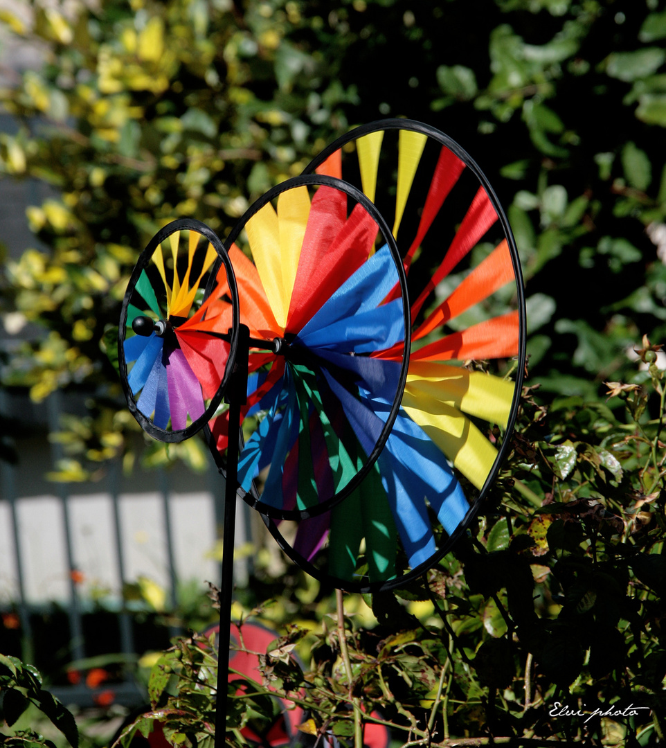 Moulin à vent coloré (profil)