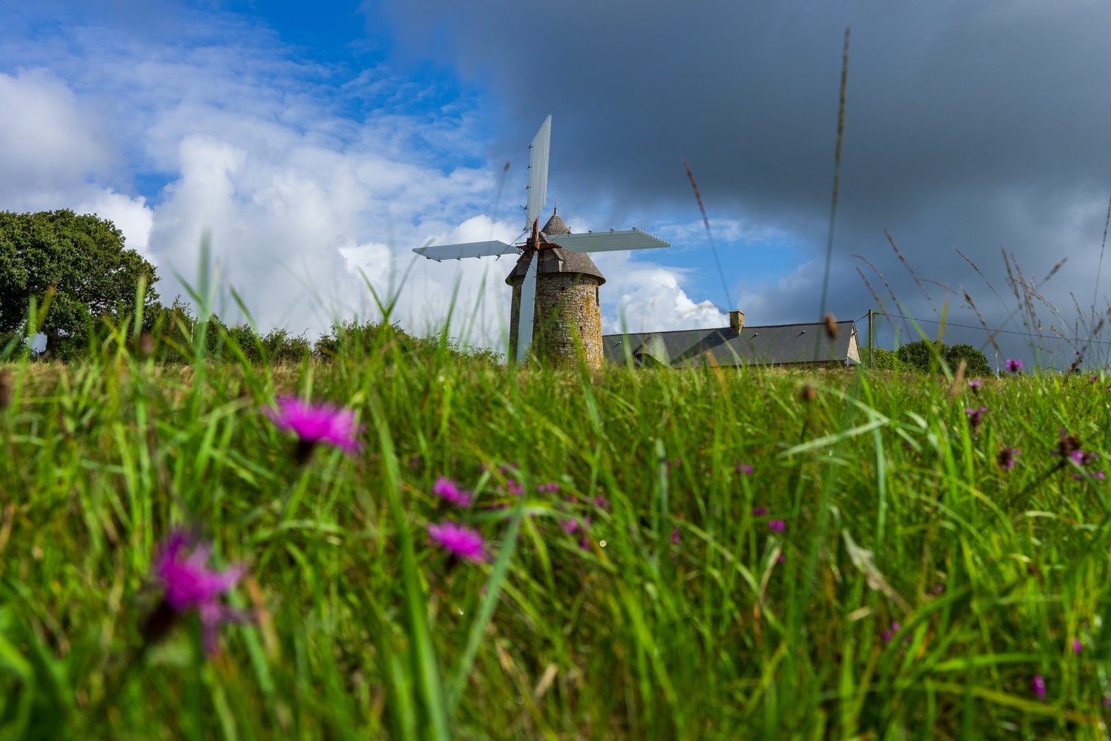 Moulin a Vent du Cotentin