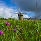 Moulin a Vent du Cotentin