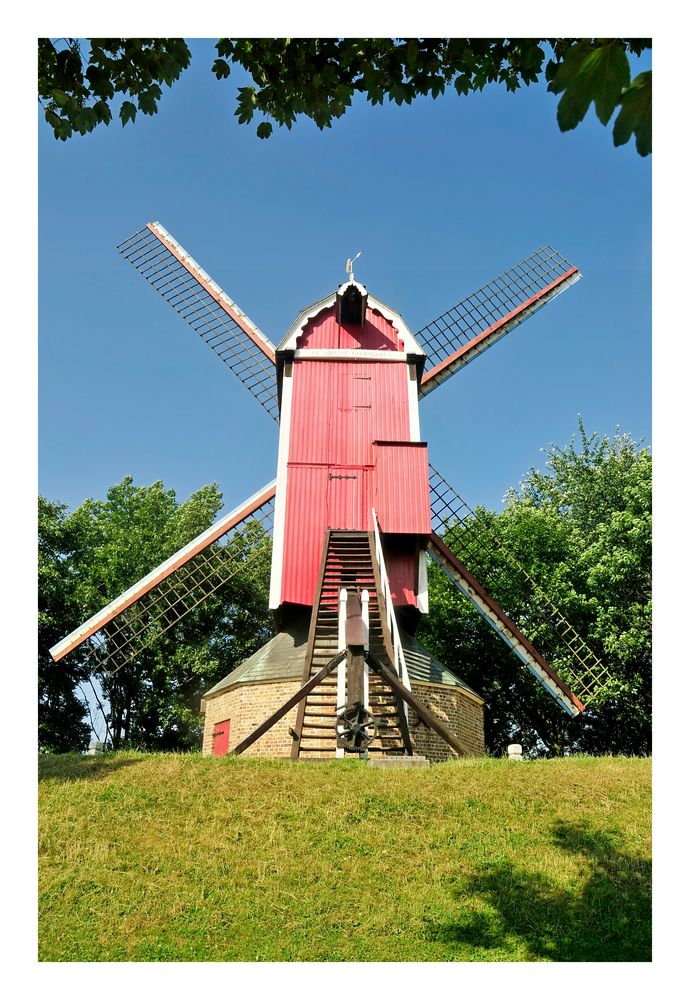 "Moulin" (Bruges)