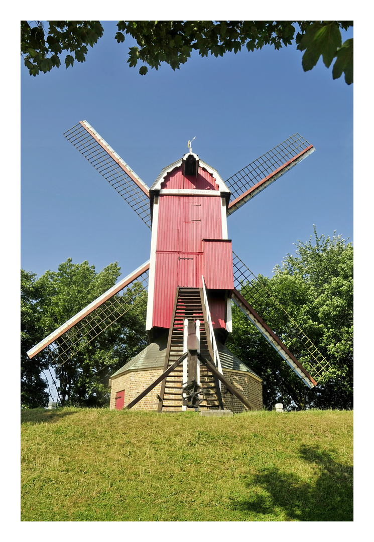 "Moulin" (Bruges)