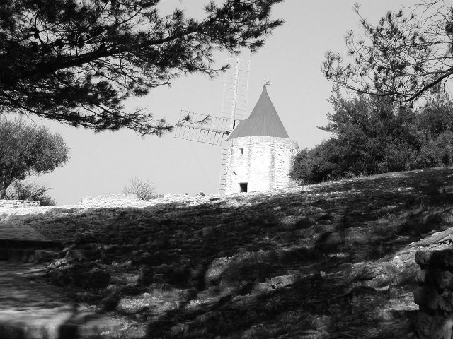 moulin d'Aphonse Daudet dans la garrigue de St Remy de Provence