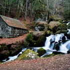 Moulin de Chambeuil Cantal