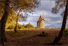 Moulin de Daudet