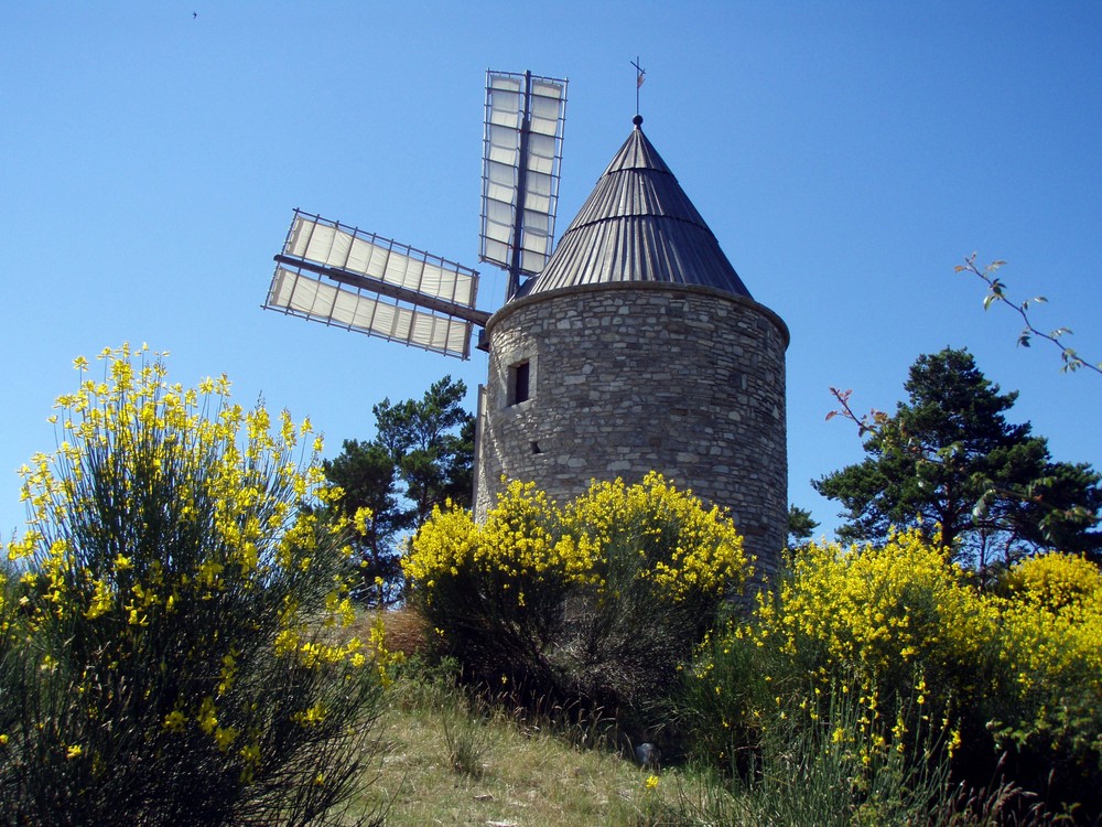 Moulin de Daudet ?