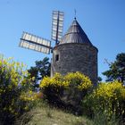 Moulin de Daudet ?