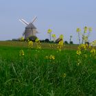 Moulin de Moidrey