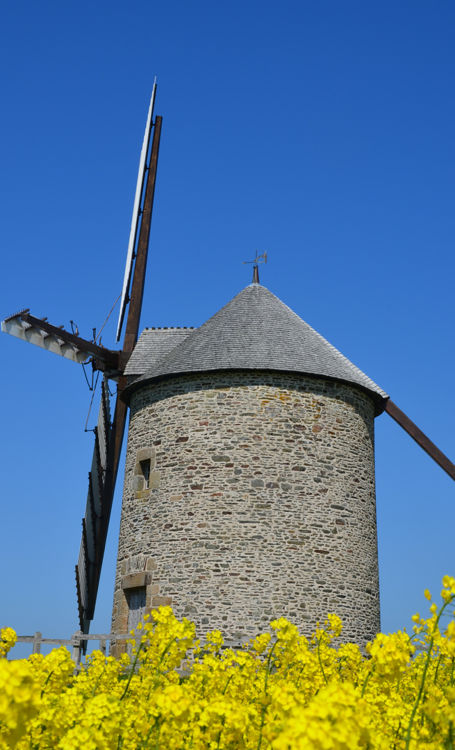 Moulin De Moidrey (50)