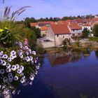 moulin de Sarreinsming