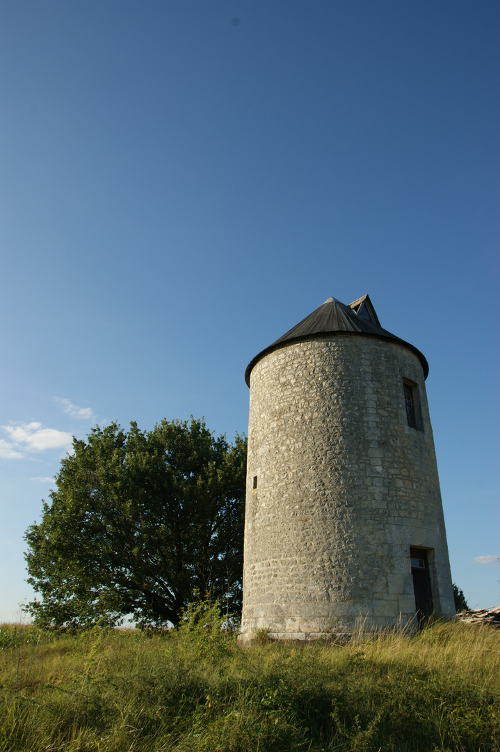 Moulin en Charente cherche des ailes